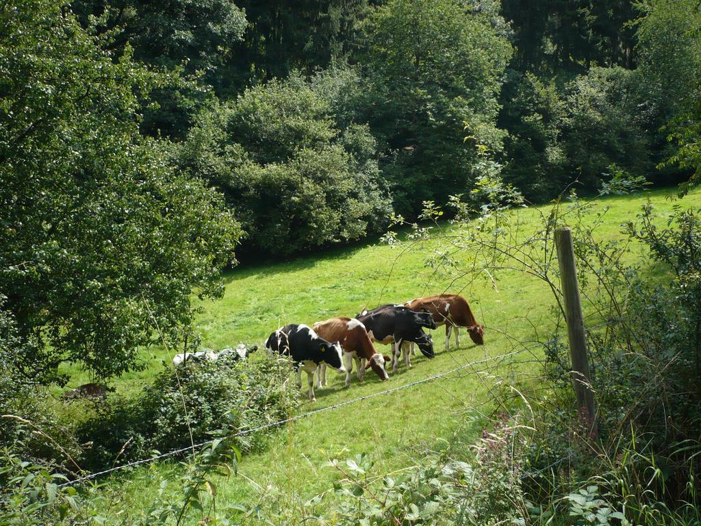 Ferienwohnungen Meindl Idar-Oberstein Cameră foto