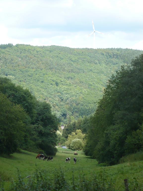 Ferienwohnungen Meindl Idar-Oberstein Cameră foto